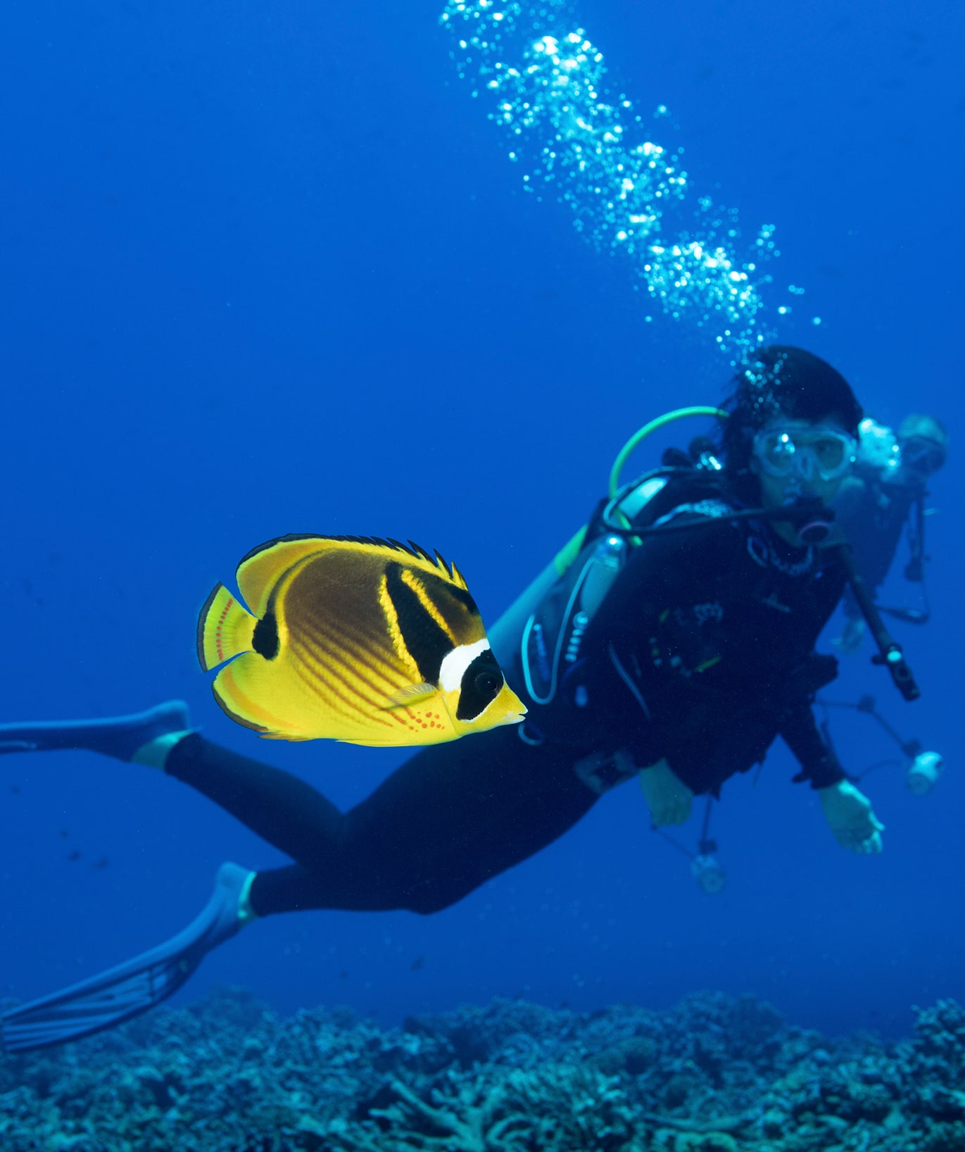 7 Nights Diving Package in Mafia Island