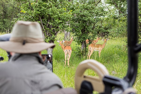 2 Days Drive-in Safari to Mikumi National Park from Zanzibar