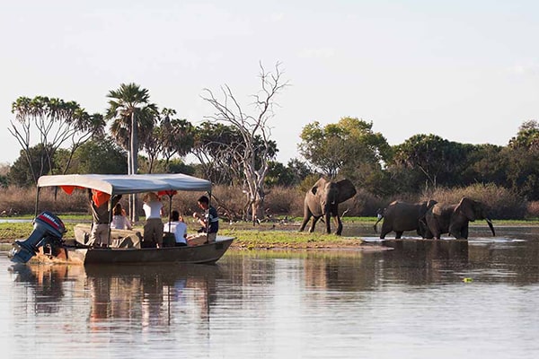 2 Days Fly-in Safari to Selous Game Reserve from Zanzibar