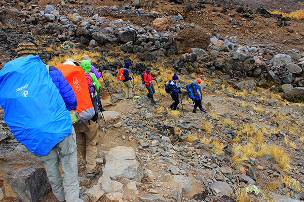 6 Days Climbing Mount Kilimanjaro on the Rongai Route